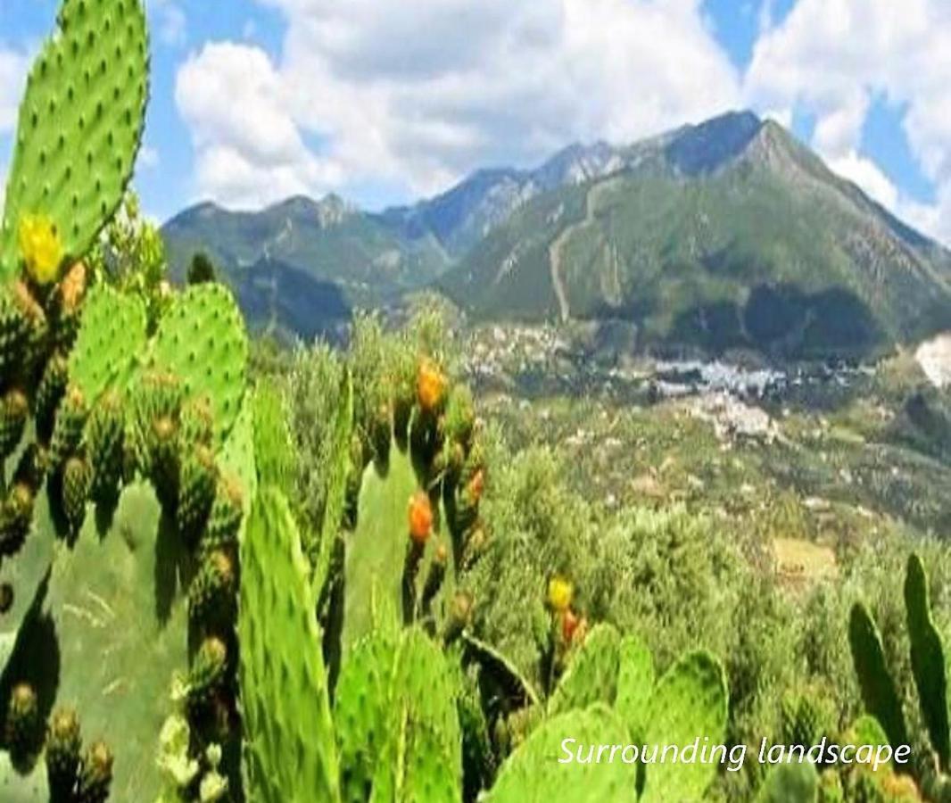 Hacienda Sol Trapiche Villa Trapiche  Dış mekan fotoğraf