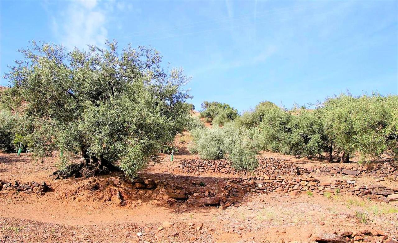 Hacienda Sol Trapiche Villa Trapiche  Dış mekan fotoğraf
