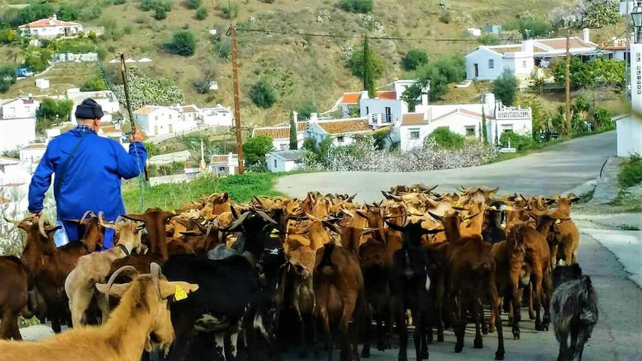 Hacienda Sol Trapiche Villa Trapiche  Dış mekan fotoğraf
